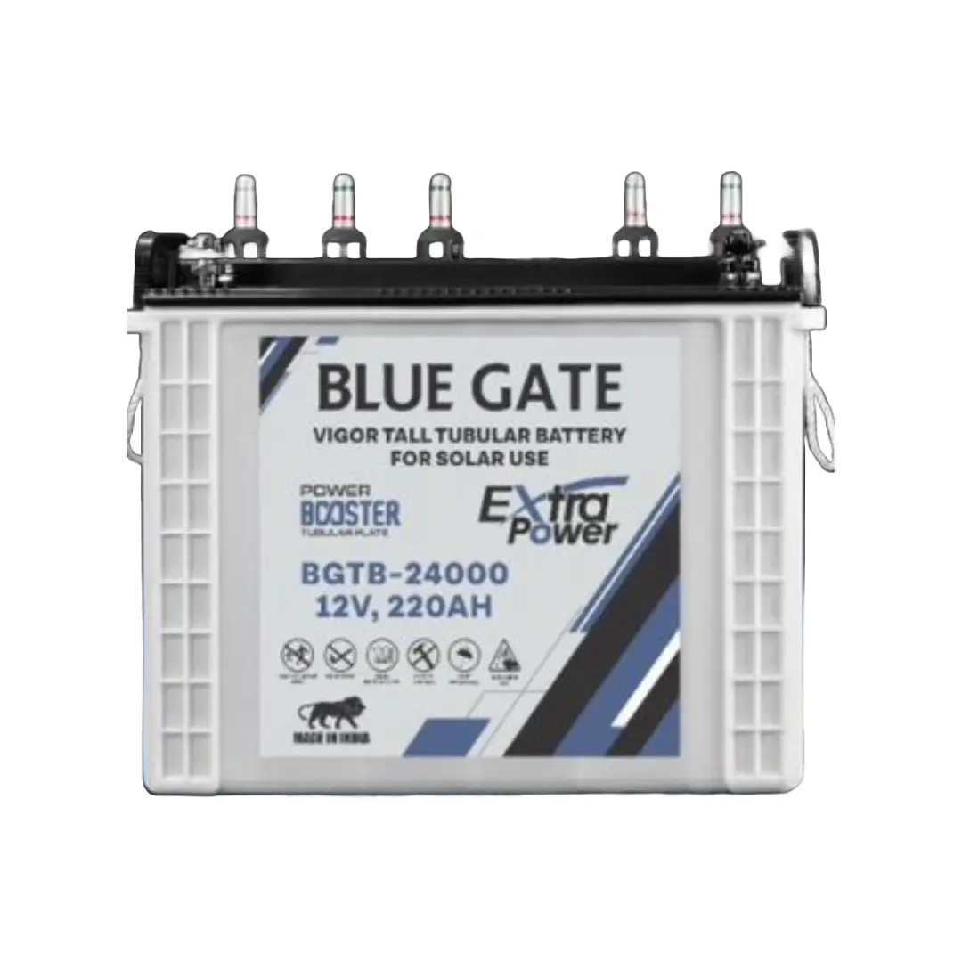 BG VIGOR TUBULAR 12V220AH