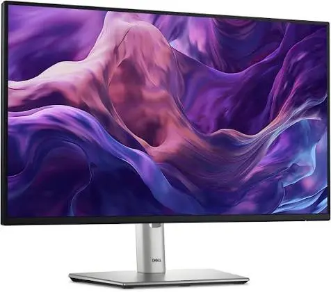 Dell Pro 24 Inch Plus Monitor P2425H - FHD IPS Display